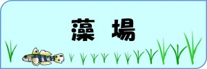 moba