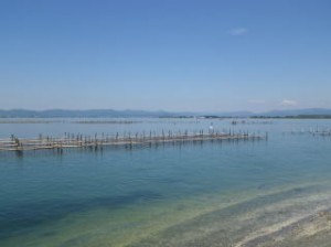 naiwan