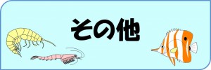 sonota2