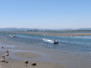 naiwan1